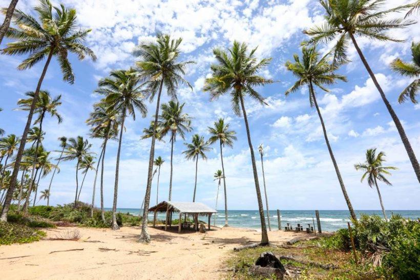 Hostel Suites Barra Grande 바라 그란데 외부 사진